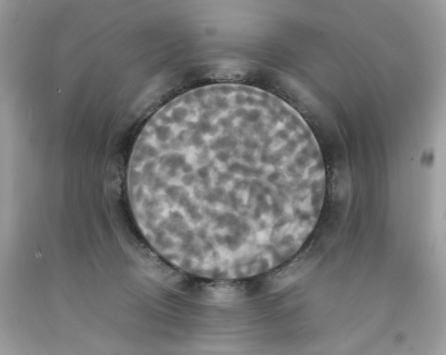 X0000091540370200709141500