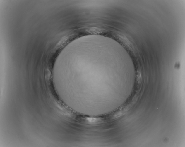 X0000091540371200709141500