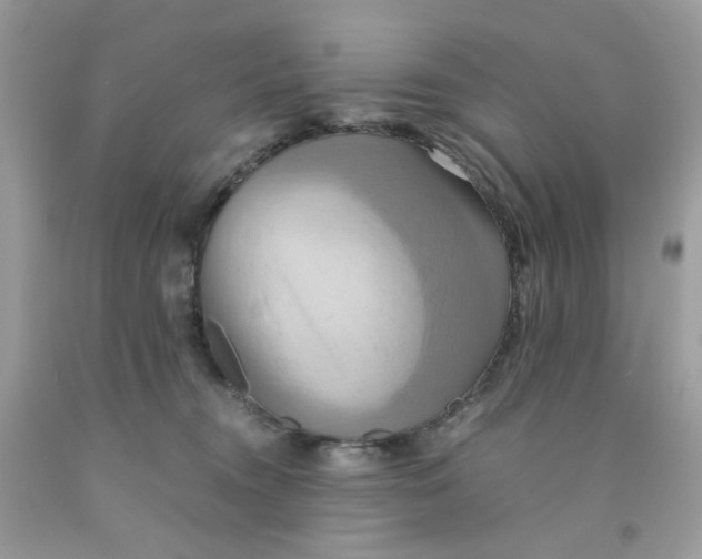 X0000091540372200709141500