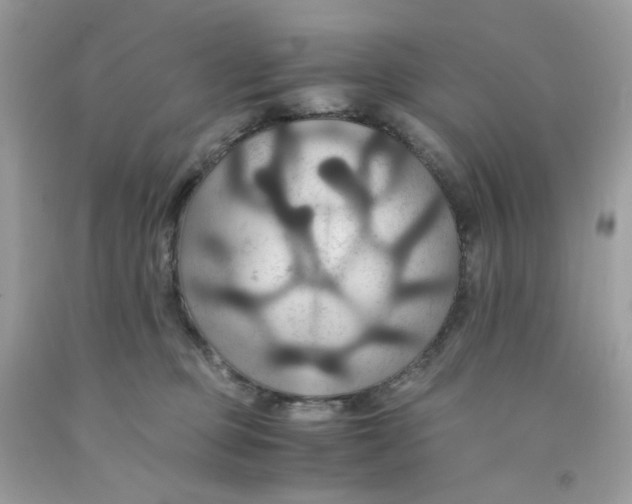 X0000091540373200709141500