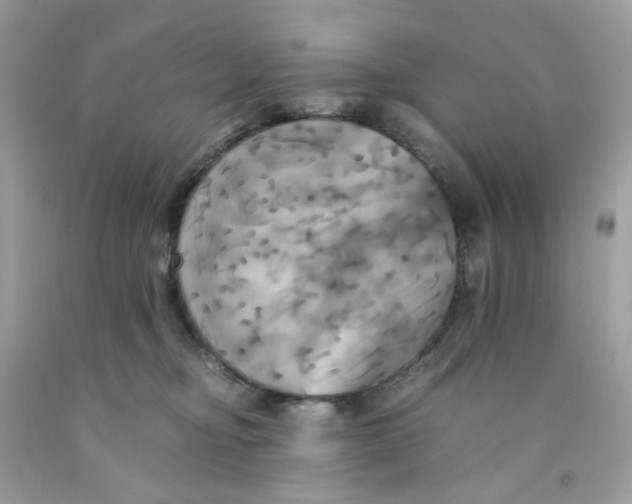 X0000091540374200709141500