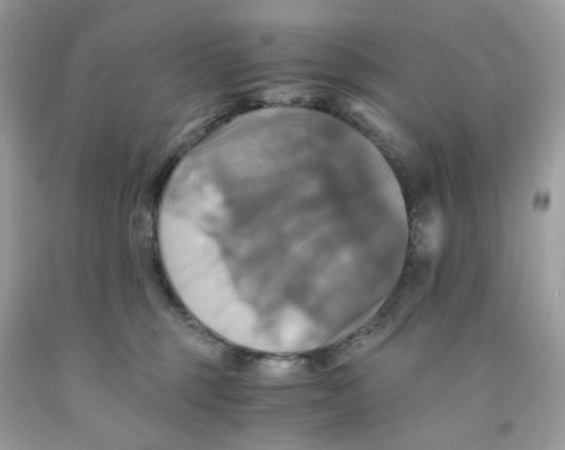 X0000091540375200709141500