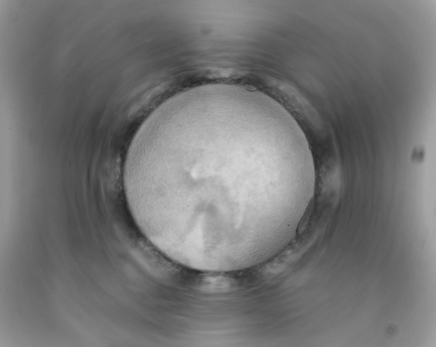 X0000091540376200709141500