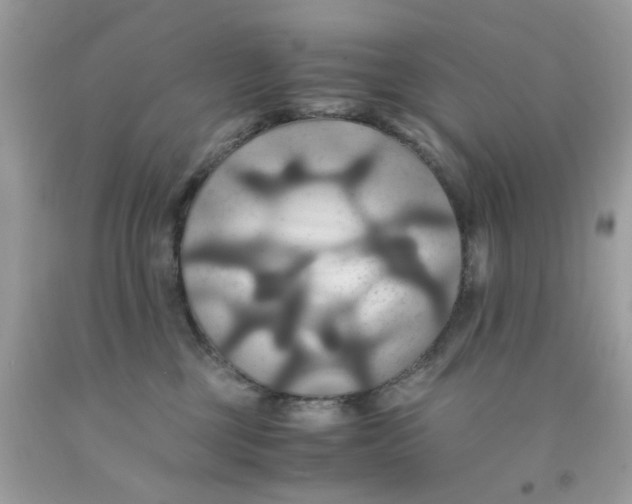 X0000091540377200709141500