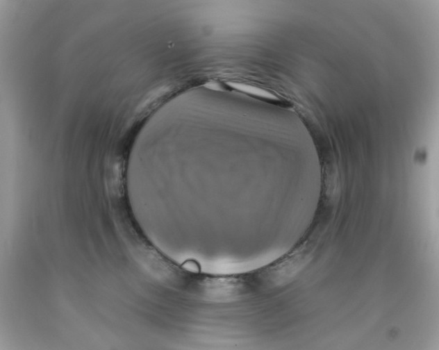 X0000091540378200709141500