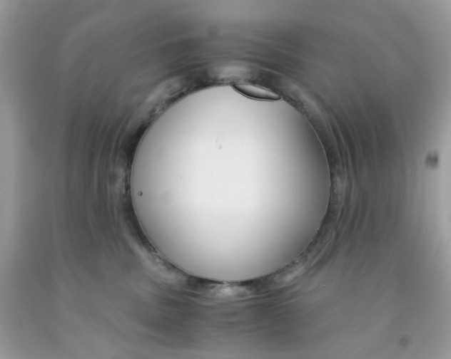 X0000091540379200709141500