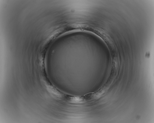 X0000091540380200709141500