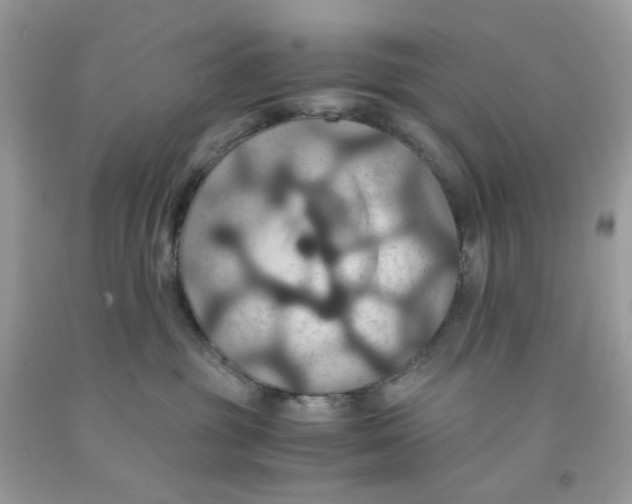 X0000091540381200709141501