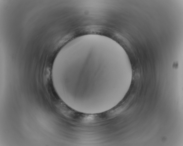 X0000091540382200709141501