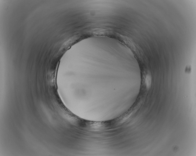 X0000091540383200709141501