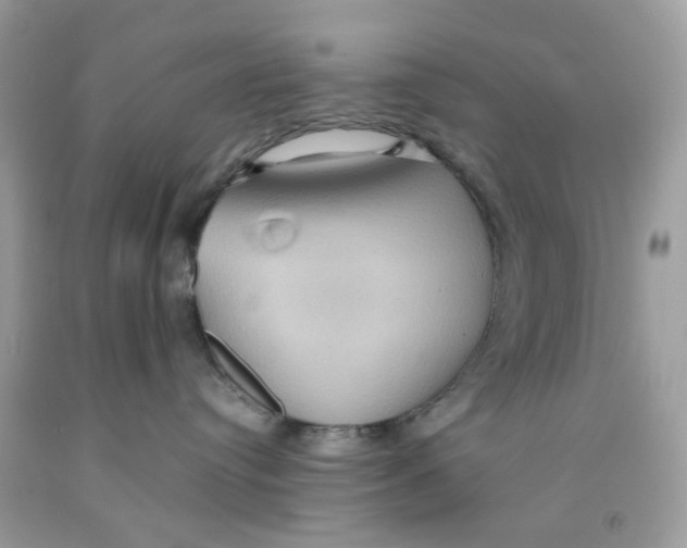 X0000091540384200709141501