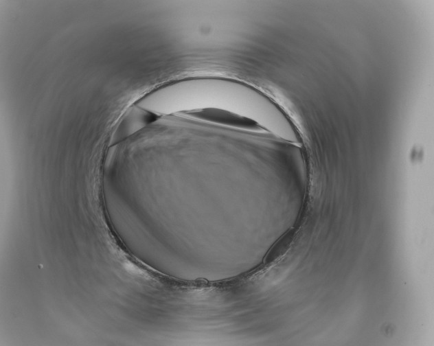 X0000091540385200709141500