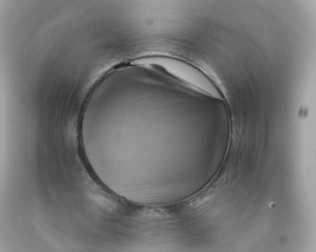 X0000091540386200709141500