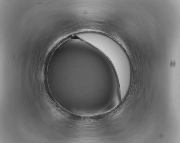 X0000091540387200709141500