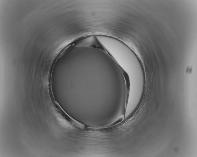 X0000091540389200709141500