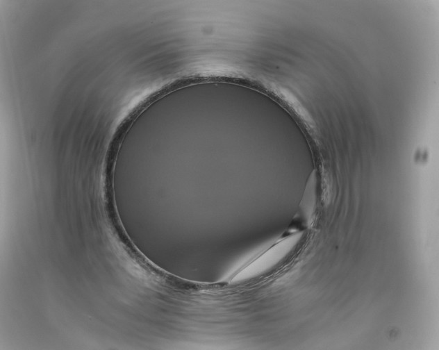 X0000091540391200709141500