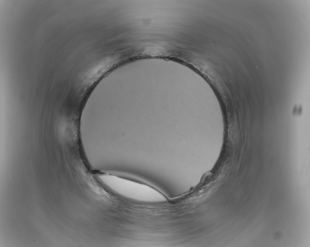 X0000091540393200709141500