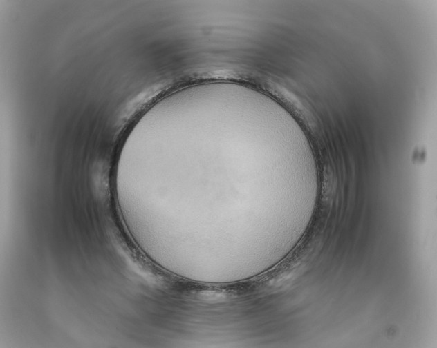 X0000091540394200709141500