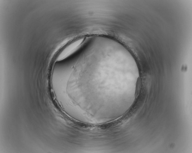 X0000091540395200709141500