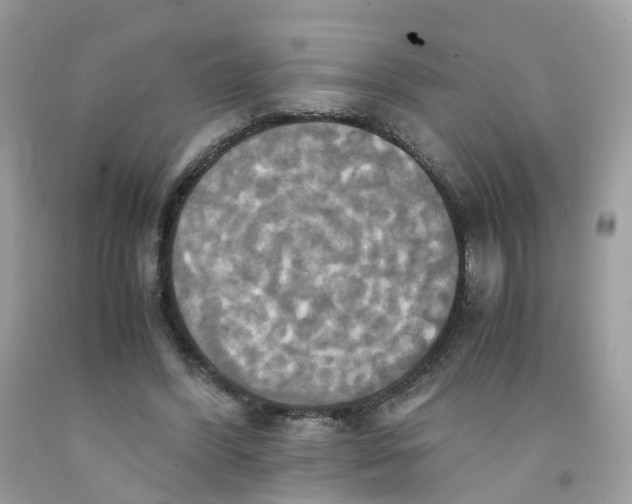 X0000091540396200709141500