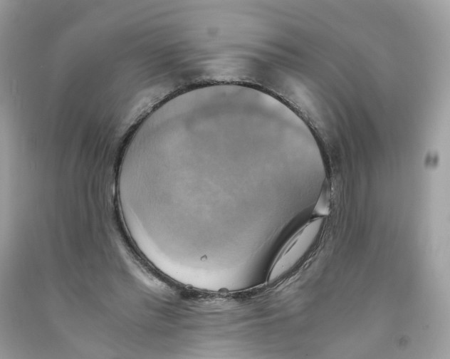 X0000091540397200709141500