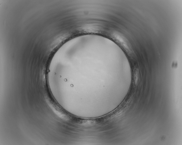 X0000091540398200709141500