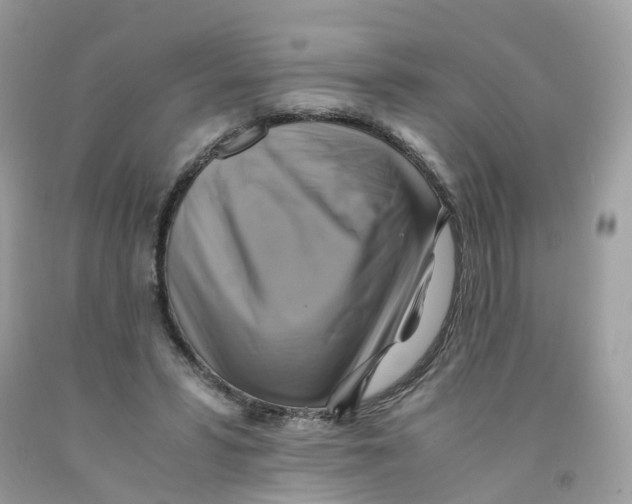 X0000091540399200709141500