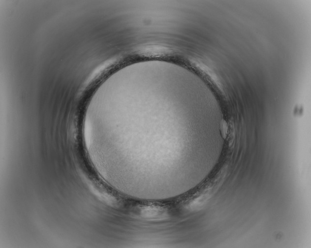 X0000091540400200709141500