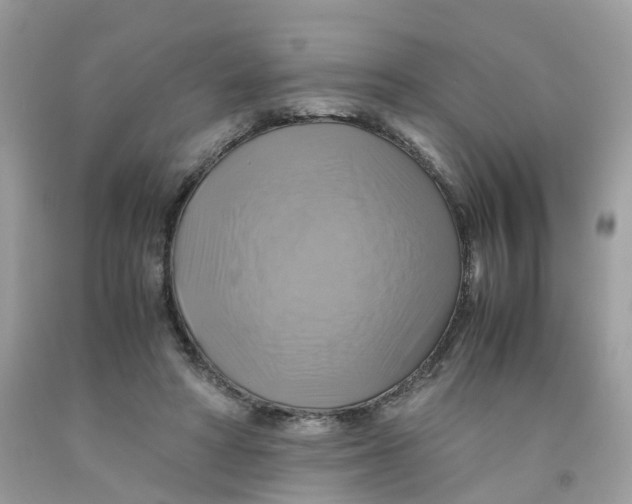 X0000091540402200709141500