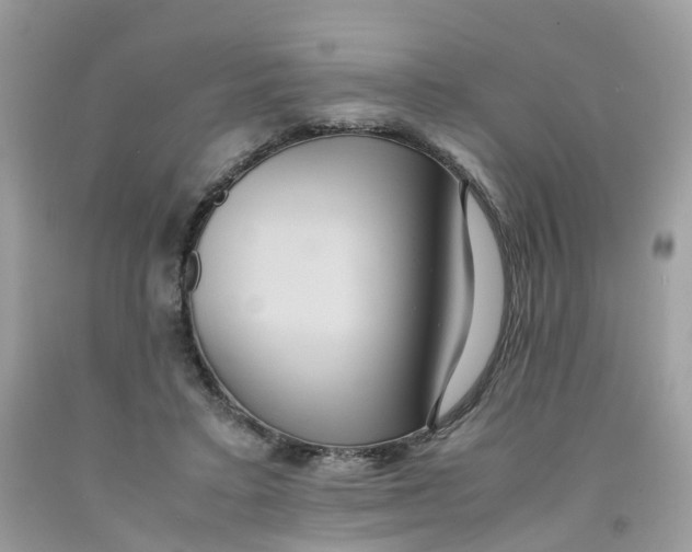 X0000091540403200709141500