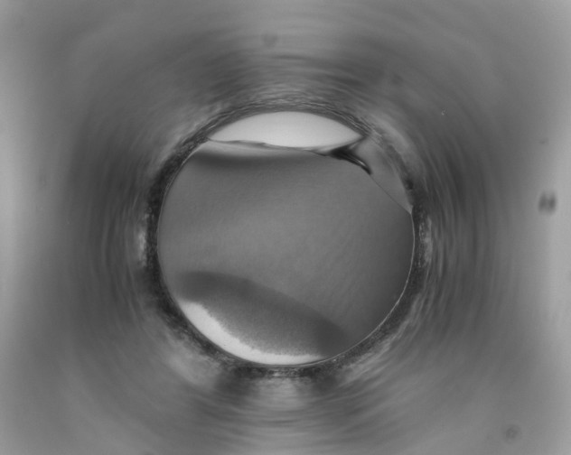 X0000091540404200709141500