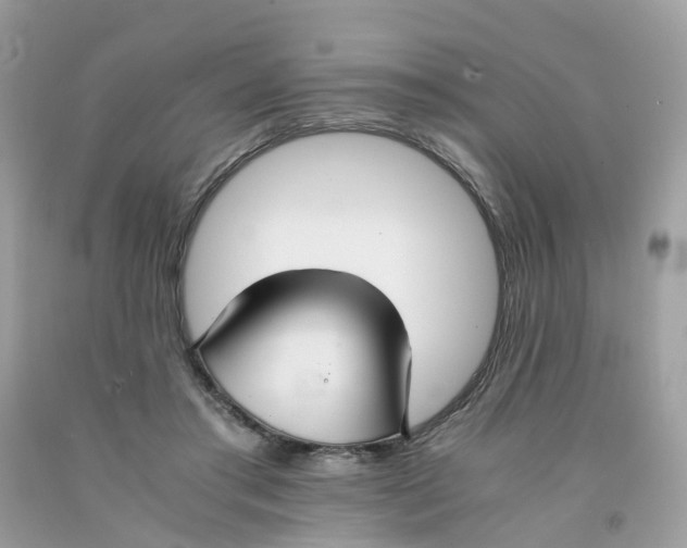 X0000091540405200709141500