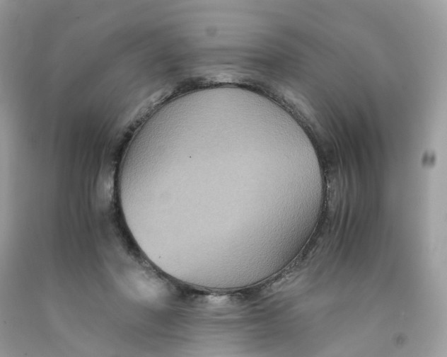 X0000091540406200709141500