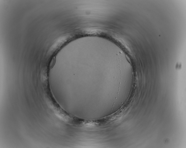 X0000091540407200709141459