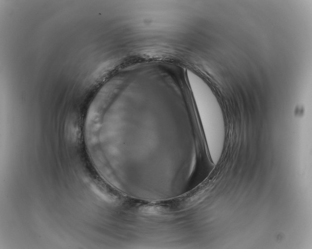 X0000091540408200709141459