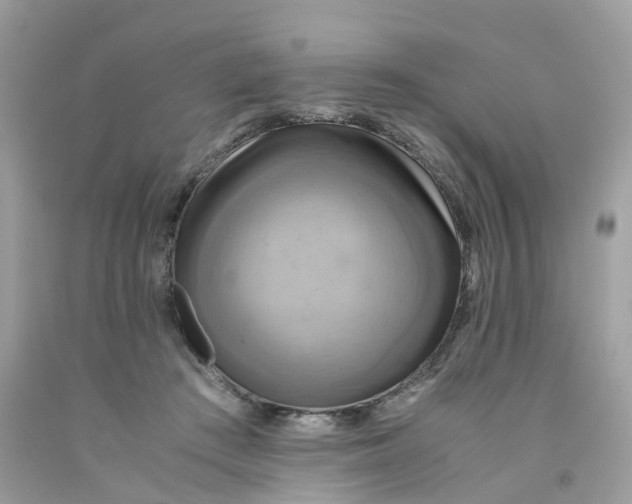 X0000091540409200709141459