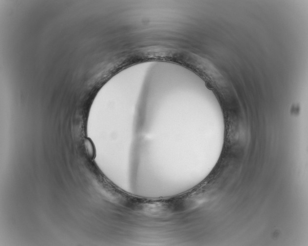 X0000091540411200709141459