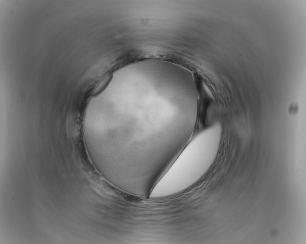 X0000091540413200709141459