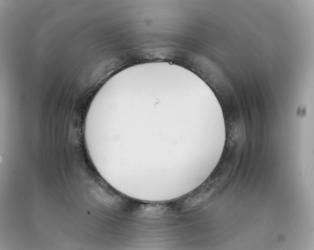 X0000091540414200709141459