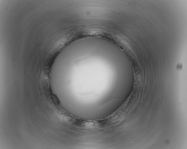 X0000091540415200709141459