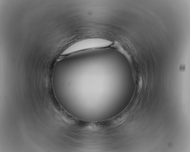 X0000091540416200709141459