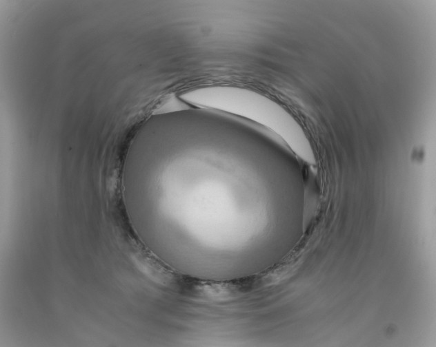 X0000091540417200709141459