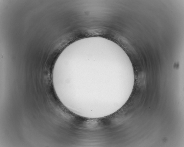 X0000091540418200709141459