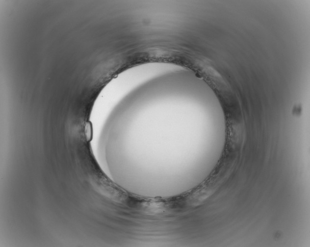 X0000091540419200709141459