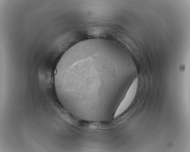 X0000091540420200709141459