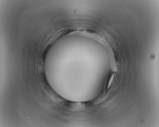 X0000091540421200709141459