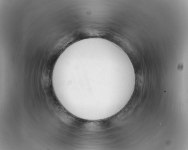 X0000091540422200709141459