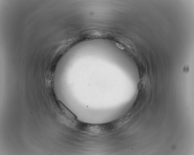 X0000091540423200709141459