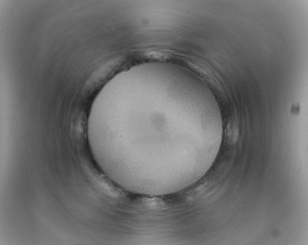 X0000091540424200709141459