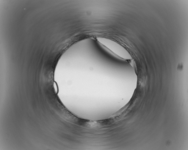 X0000091540425200709141459